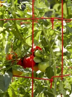 Tomato Cages, Set Of 4 -Plant Supports Shop 34182 592