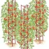 Tomato Ladders, Set Of 3 2 Tomato Ladders, Set Of 3 -Plant Supports Shop 38185 001E psd
