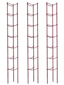 Tomato Ladders, Set Of 3 -Plant Supports Shop 38185 002E psd