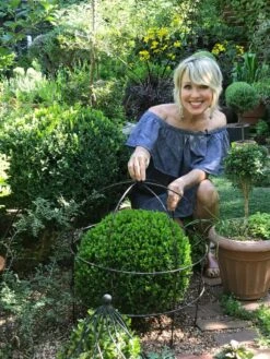 Jardin Bird Cage Support, 26" 11 Jardin Bird Cage Support, 26" -Plant Supports Shop 39 520 02IN tif