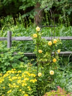 Jardin Round Obelisk, 7' -Plant Supports Shop 39 530 1668 tif