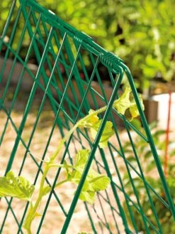 Deluxe Cucumber Trellis -Plant Supports Shop 39806 GR edit tif