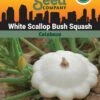 Squash, White Scallop Bush Summer Organic Seeds 2 Squash, White Scallop Bush Summer Organic Seeds -Plant Supports Shop 3 4 crop 84589 8613564 Squash White Scallop Bush