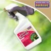 Bonide® Japanese Beetle Killer 1 Bonide® Japanese Beetle Killer -Plant Supports Shop 3 4 crop 8586927 01V 3 4