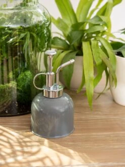 Indoor Plant Mister -Plant Supports Shop 3 4 crop 8612962 0049