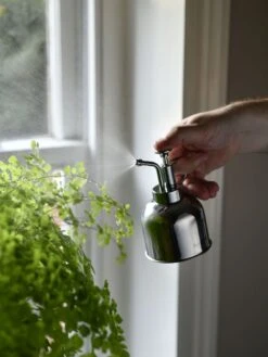 Indoor Plant Mister -Plant Supports Shop 3 4 crop 8612962 02V tif