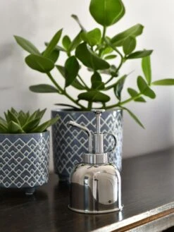 Indoor Plant Mister -Plant Supports Shop 3 4 crop 8612962 03V tif