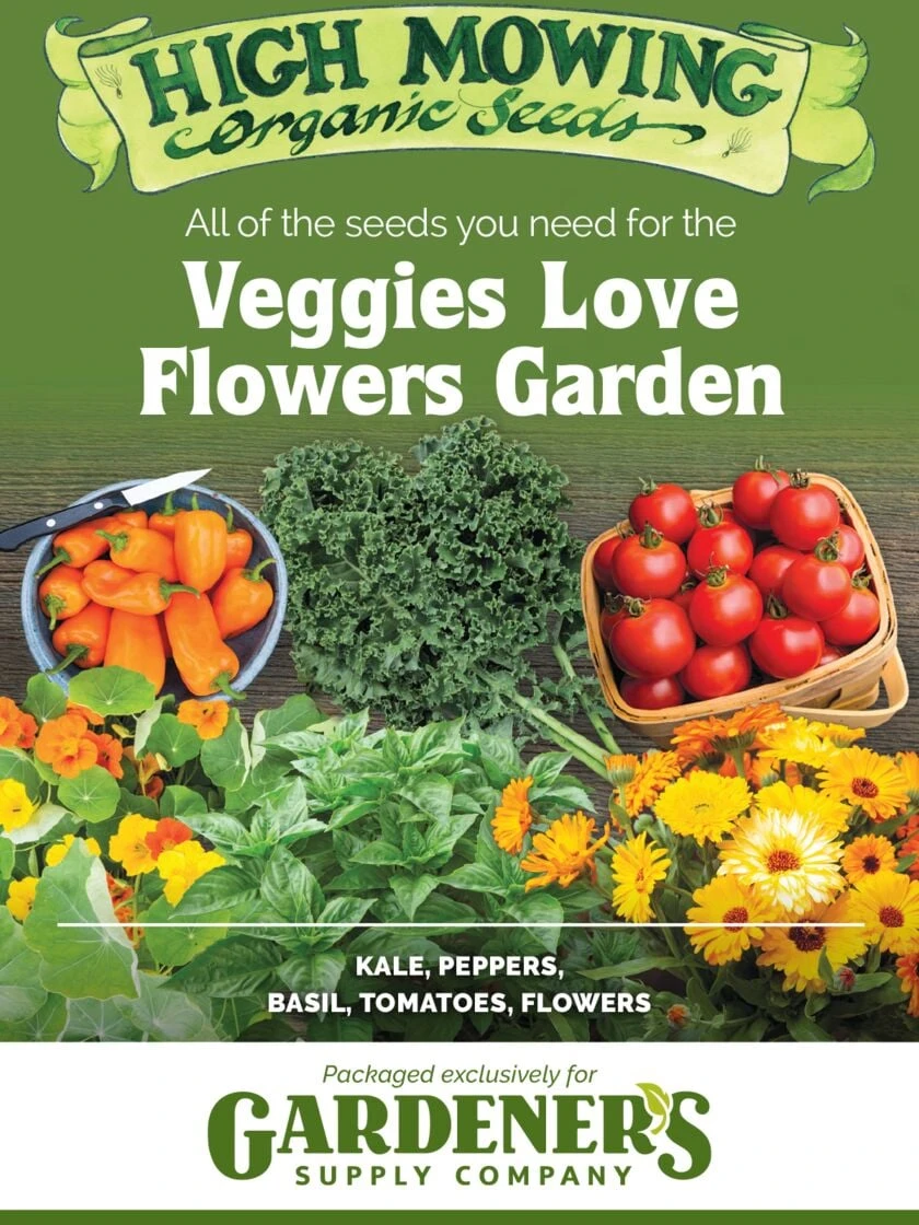 Gardener's Supply - Veggies Love Flowers Organic Seeds 3 Gardener's Supply - Veggies Love Flowers Organic Seeds