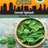 Corvair Spinach Organic Seeds 1 Corvair Spinach Organic Seeds -Plant Supports Shop 3 4 crop 8613868 06842 Spinach Corvair SDSC