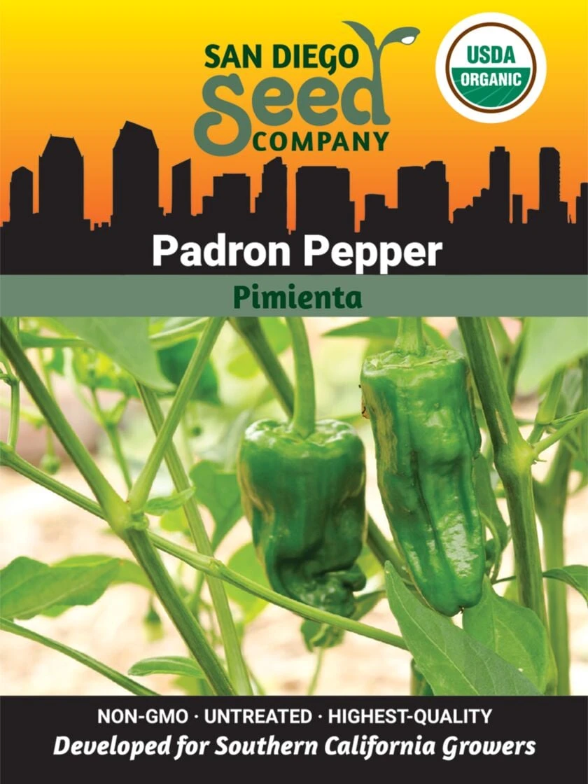 Pepper, Padron Organic Seeds 3 Pepper, Padron Organic Seeds