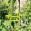 Garden Clips, Set Of 48 -Plant Supports Shop 40 354 07648 tif