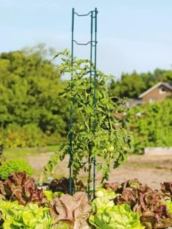 Stacking Tomato Ladders, Set Of 6 -Plant Supports Shop 40309 100 tif
