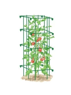 Tomato Cage, Single -Plant Supports Shop 8587039 TomatoCage GRN tif