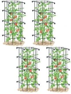 Tomato Cages, Set Of 4 -Plant Supports Shop 8587040 BK 001E tif