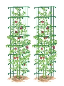 Tomato Towers, Set Of 2 -Plant Supports Shop 8587041 0006 GRN tif