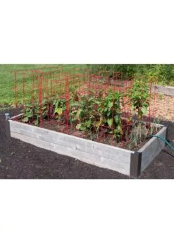 Pepper And Eggplant Cages, Set Of 3 -Plant Supports Shop 8587048 6008 3 4