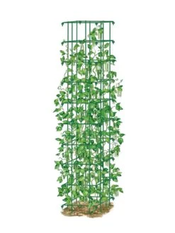 Bean Tower 13 Bean Tower -Plant Supports Shop 8587060 0008 GRN tif