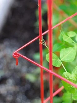 Tall Expandable Pea Trellis 9 Tall Expandable Pea Trellis -Plant Supports Shop 8587061 010 tif