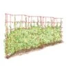 Expandable Pea Trellis -Plant Supports Shop 8587061 PeaFence Red 001E tif
