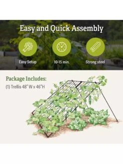 Large Cucumber Trellis -Plant Supports Shop 8587082 product details