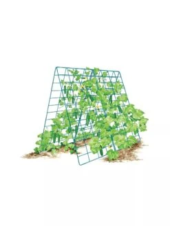 Deluxe Cucumber Trellis -Plant Supports Shop 8587083 001 BLUE Cukes two sided deluxe cucumber trellis support storm blue 3 4