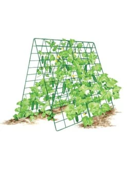 Deluxe Cucumber Trellis -Plant Supports Shop 8587083 001 GRN tif