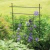 Jardin Ladder Trellis 2 Jardin Ladder Trellis -Plant Supports Shop 8587107 1651 tif
