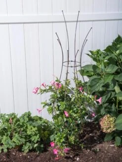 Jardin Pot Trellis -Plant Supports Shop 8587120 0028 tif