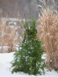 Jardin Pot Trellis -Plant Supports Shop 8587120 009 tif