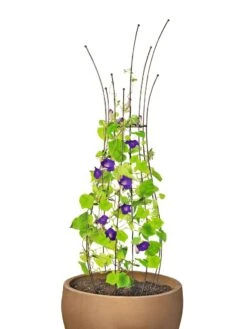 Jardin Pot Trellis -Plant Supports Shop 8587120 1006 tif