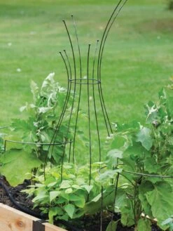 Jardin Pot Trellis -Plant Supports Shop 8587120 7037 tif