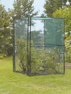 Crop Cage, 4' X 4' -Plant Supports Shop 8587832 149 tif