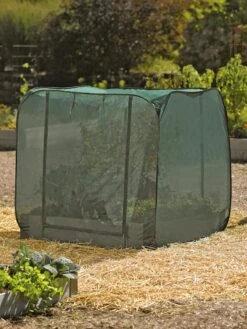 Pest Control Pop-Ups -Plant Supports Shop 8587859 026 tif