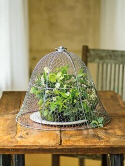 Chicken Wire Cloche 19 Chicken Wire Cloche -Plant Supports Shop 8590210 1 tif
