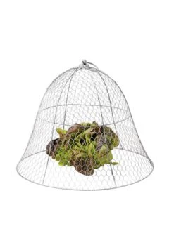 Chicken Wire Cloche 20 Chicken Wire Cloche -Plant Supports Shop 8590210 675 tif
