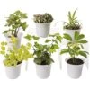 Low Light Terrarium Plant Collection, Set Of 6 -Plant Supports Shop 8591770 3595 tif