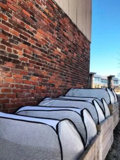 Row Shelter Accelerator -Plant Supports Shop 8591990 01IN tif