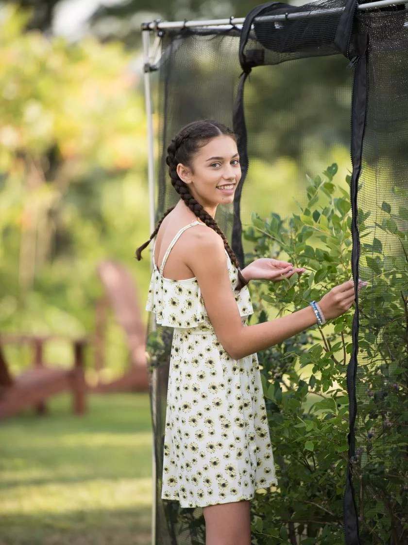 Storm Proof Crop Cage, Large 9 Storm Proof Crop Cage, Large - Image 7