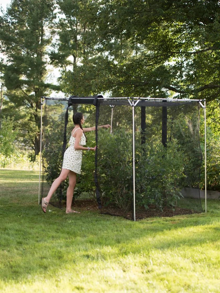 Storm Proof Crop Cage, Large 3 Storm Proof Crop Cage, Large