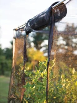 Storm Proof Crop Cage, Large 14 Storm Proof Crop Cage, Large -Plant Supports Shop 8592463 115 tif