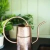 Copper Indoor Watering Can -Plant Supports Shop 8593724 5369 tif