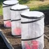 Tomato TLC Kits, Set Of 3 -Plant Supports Shop 8594214 0183 tif