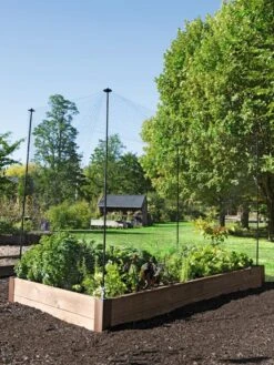 Protection Stakes For Netting, Set Of 4 -Plant Supports Shop 8594434 0015 tif