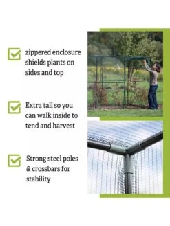 Crop Cage, 4' X 12' -Plant Supports Shop 8596540 4