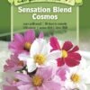 Sensation Blend Cosmos Organic Seeds -Plant Supports Shop 8598224 01V tif