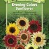 Evening Colors Sunflower Organic Seeds 2 Evening Colors Sunflower Organic Seeds -Plant Supports Shop 8598225 01V tif