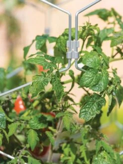 Gardener's Vertex Lifetime Tomato Cage -Plant Supports Shop 8598426 0011 tif