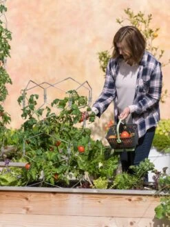 Gardener's Vertex Lifetime Tomato Cage -Plant Supports Shop 8598426 0026 tif