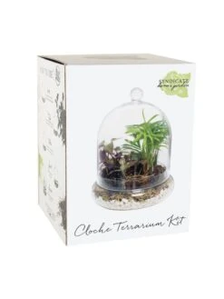 Cloche Terrarium Kit Medium -Plant Supports Shop 8599148 01v