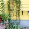 Achla Designs Waves Trellis 1 Achla Designs Waves Trellis -Plant Supports Shop 8599491 01V tif